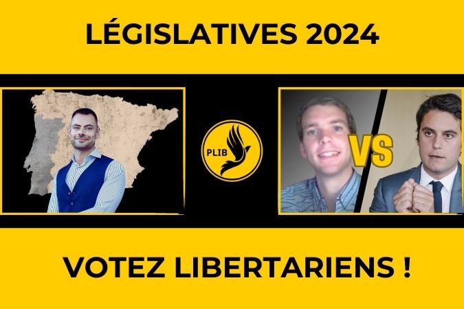 libertariens aux élections législatives 2024